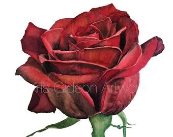 Red Rose Watercolor Giclée Print | Botanical Floral Wall Art | Archival Fine Art Print
