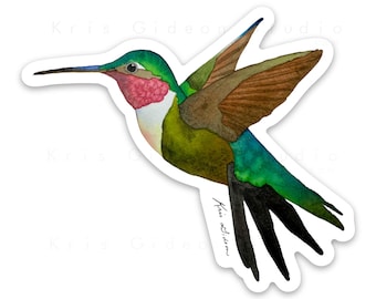 Broad-tailed Hummingbird Sticker, Hummingbird Sticker- 3"x2.57"