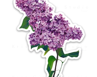 Lilac Sticker- 2.56"x3"