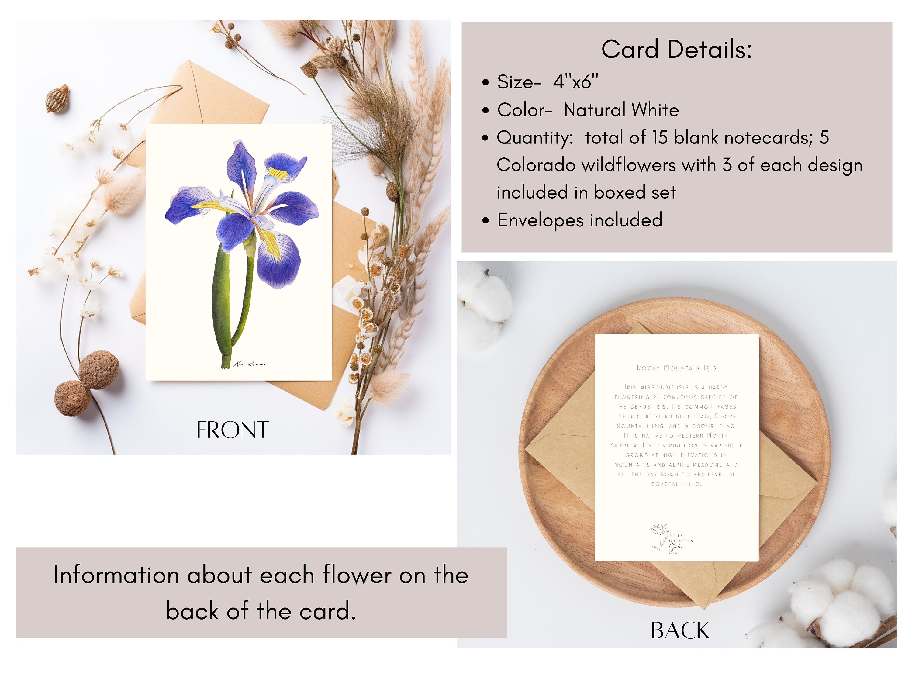 Missouri Flag Boxed Note Cards Missouri Flag Boxed Note Cards