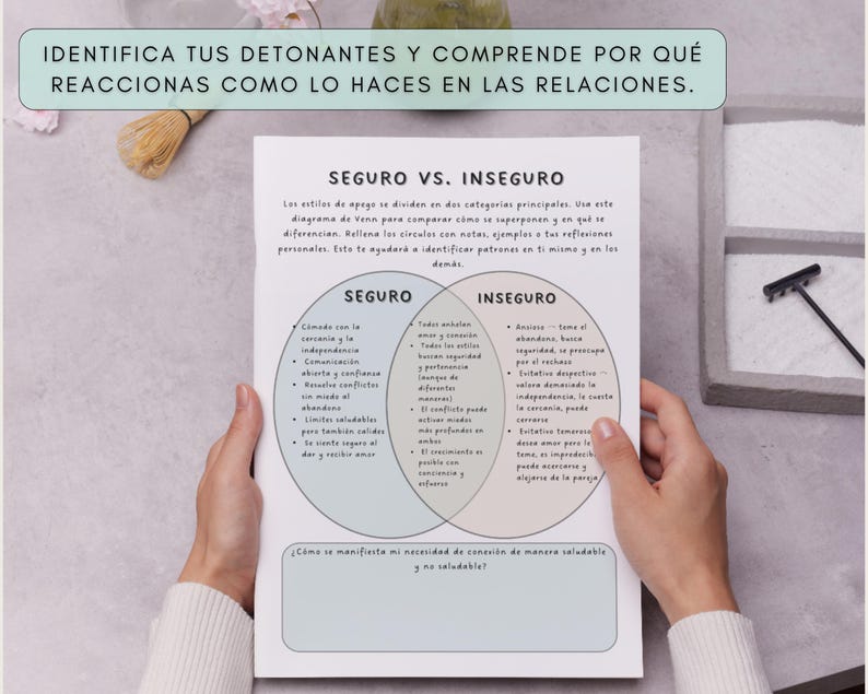 A person holding a white paper with text in Spanish, including "SEGURO VS. INSEGURO" and a Venn diagram. The paper has a light green border at the top with text. The background includes a small zen garden and a whisk.