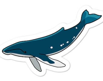 Humpback Whale - Adventucation Sticker