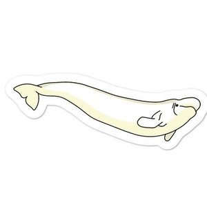 Beluga - Adventucation Aufkleber