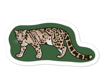 Clouded Leopard - Adventucation Sticker