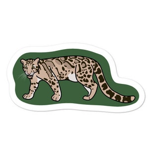 Clouded Leopard - Adventucation Sticker