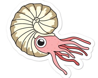 Ammonite - Pegatina Adventucation