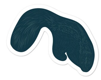 Skunk - Pegatina Adventucation