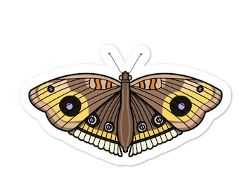 Buckeye Butterfly - Pegatina Adventucation