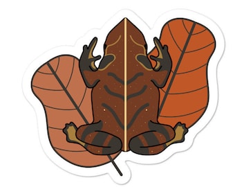 Sapo Común de América del Sur - Pegatina Adventucation