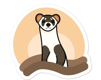 Ferret de patas negras