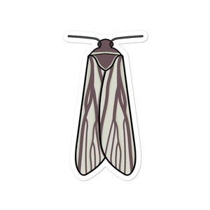 Sloth Moth (Cryptoses choloepi) - Adventucation Sticker
