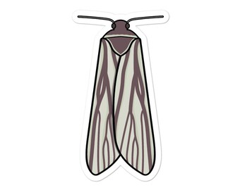 Moth perezoso (Cryptoses choloepi) - Pegatina Adventucation
