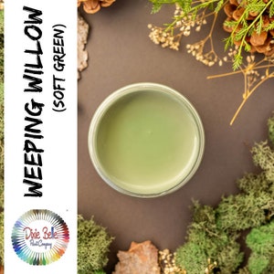 SOFT GREEN Paint - Weeping Willow - Dixie Belle Chalk Mineral Paint - Green Chalk Paint - Cottage , Furniture Paint
