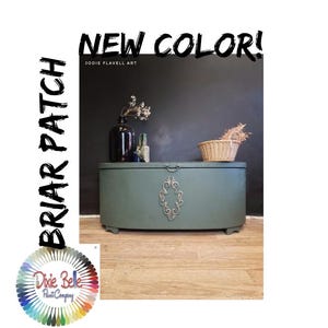 BRIAR PATCH Chalk Paint, Green Chalk Paint, Dixie Belle Chalk Mineral Paint, Furniture Paint, Southern Roots Collection