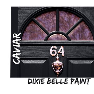 PAINT Your FRONT DOOR Dixie Belle, 16oz, Chalk Mineral Paint Best Coverage No Fumes image 2