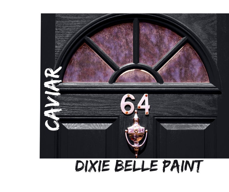 PAINT Your FRONT DOOR Dixie Belle, 16oz, Chalk Mineral Paint Best Coverage No Fumes image 2