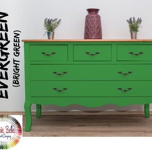 Green Paint, KUDZU Chalk Paint, Dixie Belle Chalk Mineral Paint, Furniture  Paint 
