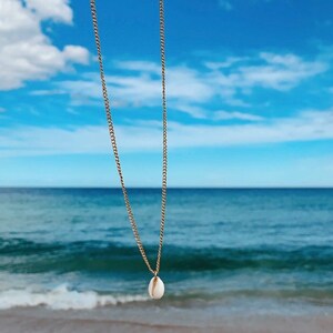 shell chain necklaces
