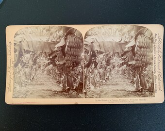 Stereoview In the Heart of a Banana Plantation Hawaiian Islands 1896