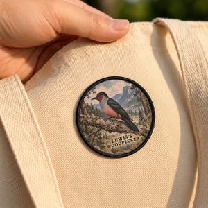 May include: A circular embroidered patch featuring a Lewis's Woodpecker perched on a tree branch against a mountain landscape. The bird has a dark head, pinkish chest, and dark wings. The text "LEWIS'S WOODPECKER" is printed at the bottom.
