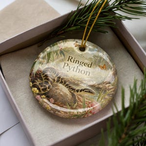 A decorative ornament in a box, featuring a snake and the text "Ringed Python".