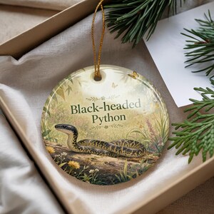 May include: Round ceramic ornament featuring a black-headed python illustration. The snake is depicted on a log with a natural background, and the text "Black-headed Python" is displayed. The ornament has a gold string for hanging.