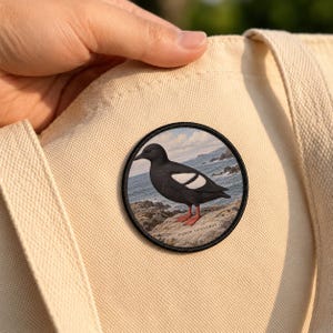 May include: A circular embroidered patch featuring a black pigeon guillemot bird with a white wing patch and red feet, standing on a rocky shore by the sea. The text PIGEON GUILLEMOT is printed in small black letters at the bottom edge.