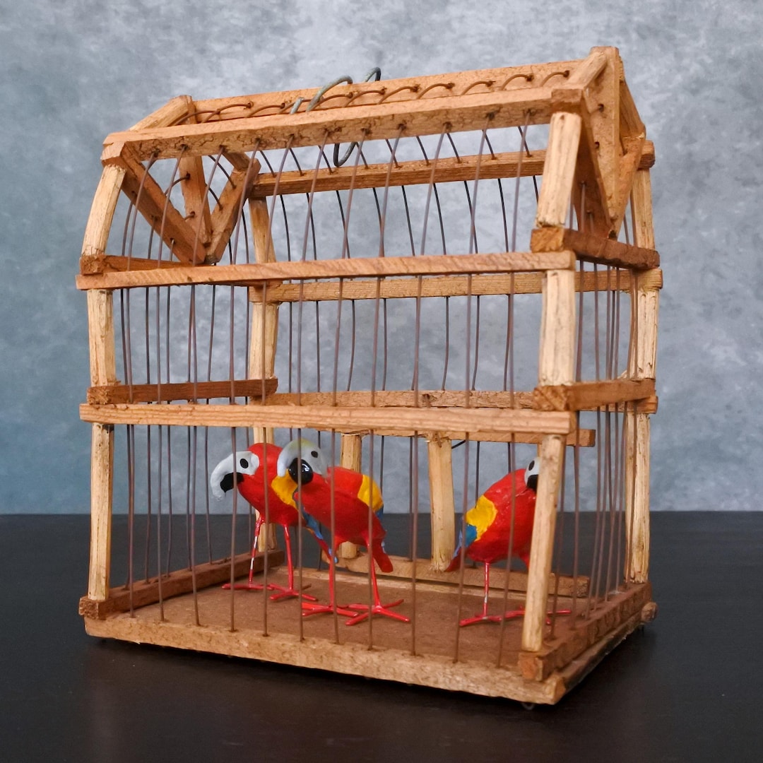 Vintage Wooden Birdcage Macaw Parrot Paper Mache Sculpture Rustic Folk ... - Birdcage Designs For Parrots Handmace