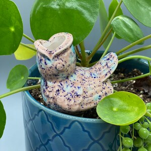 Pink & Blue Bird Plant Tender / Watering Spike