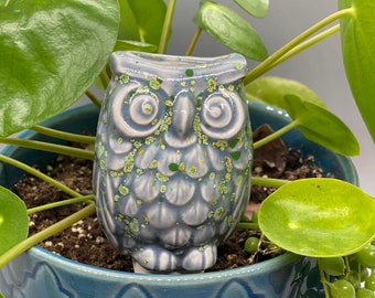 Mossy Owl Plant Tender / Watering Spike