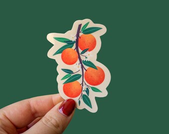 Orange Branch Sticker: Illustrated Citrus Fruit, Water-Resistant Vinyl