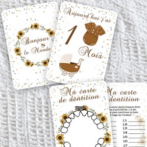 Baby Step Cards vanaf de geboorte tot 12 maanden: Rainbow Thema - Plastified