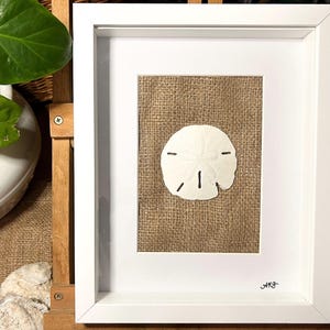 Sand Dollar Beach Home Decor, Coastal Living Real Sea Shell