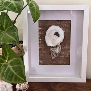 Oyster Shell Art, coastal beachy home decor, beach house, boho simple clean accent