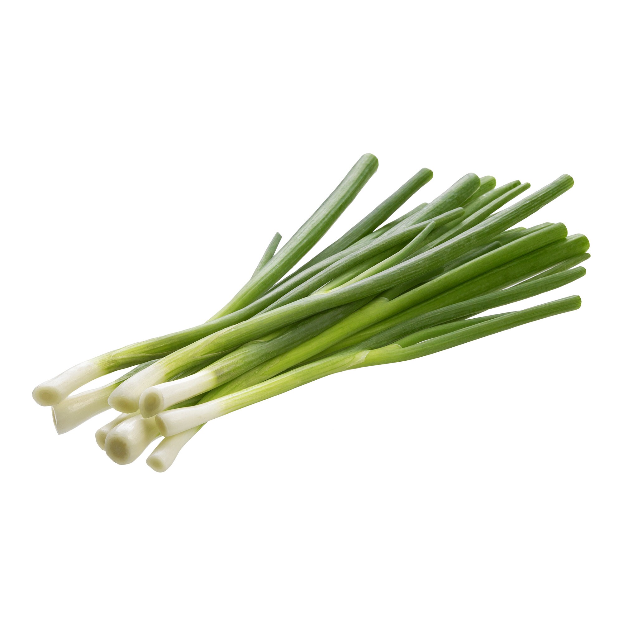 Green Onion Seeds for Planting Etsy
