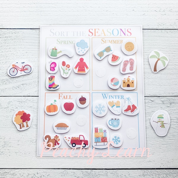 Four Seasons Printable Sorting Learning Time, Preschool, Homeschool, Educational, Summer Fall Winter Spring, Teach Kids, 4 Seasons