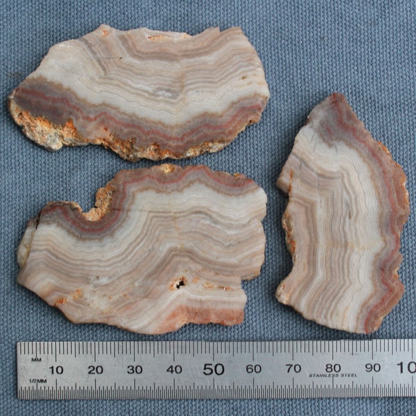 Lace Agate Slices for Cabbing - 3pc lot - Slabs Georgia Cabochon Jewellery Making Lapidary Crystal Polishing Carving Faceting Mineral