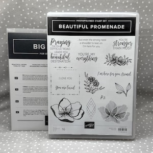 Beautiful Promenade Stamp Set with Beautiful Layers Thinlits Dies - Retired Stampin Up BUNDLE