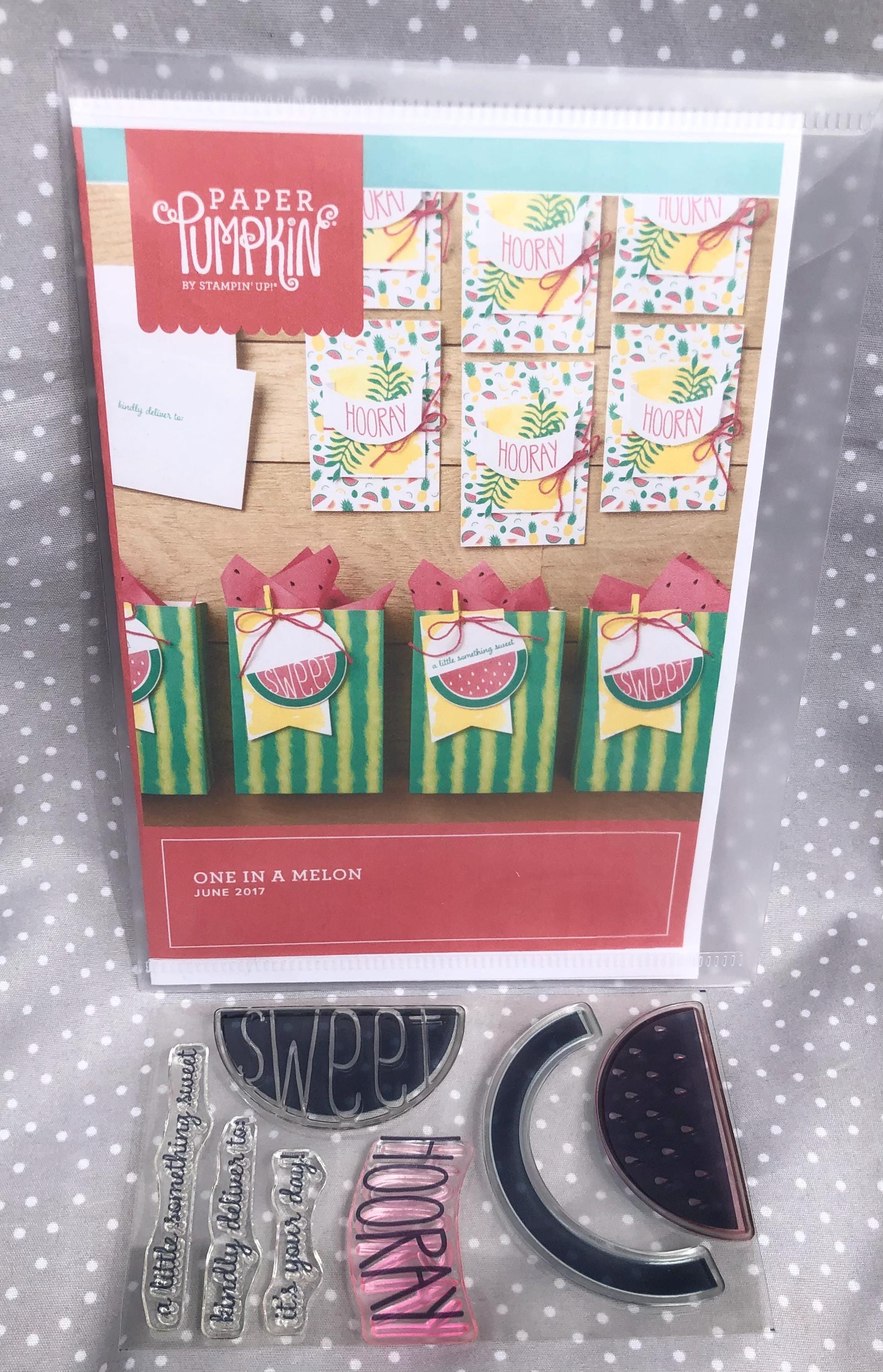 Paper Pumpkin Stamps ONLY, Stampin Up - Etsy