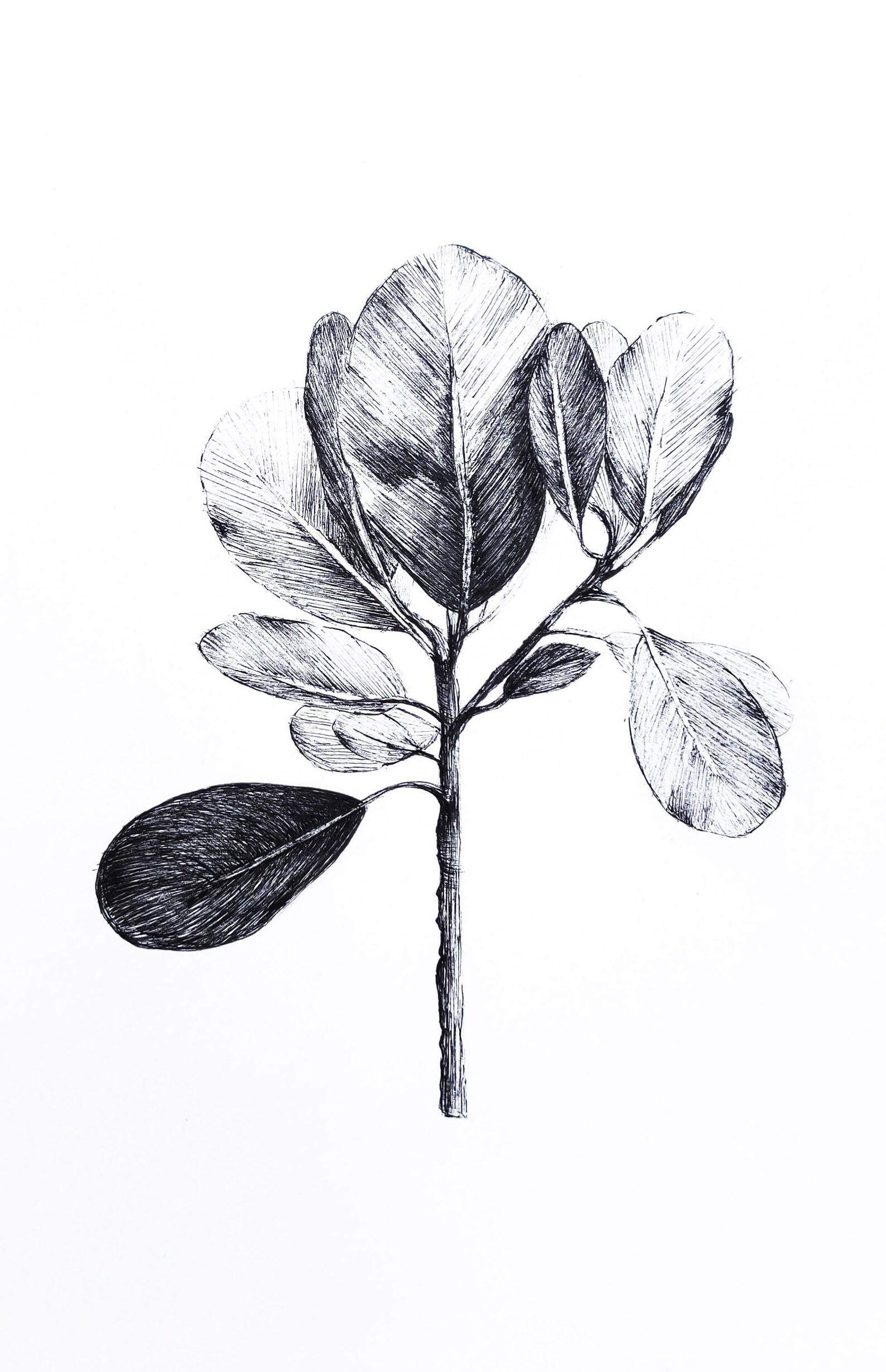 Original Leaf Painting Ink Drawing On Paper Artwork For Etsy