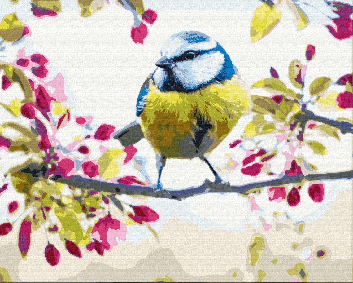 Bird Paint by numbers bird painting colorful Paint by number Etsy