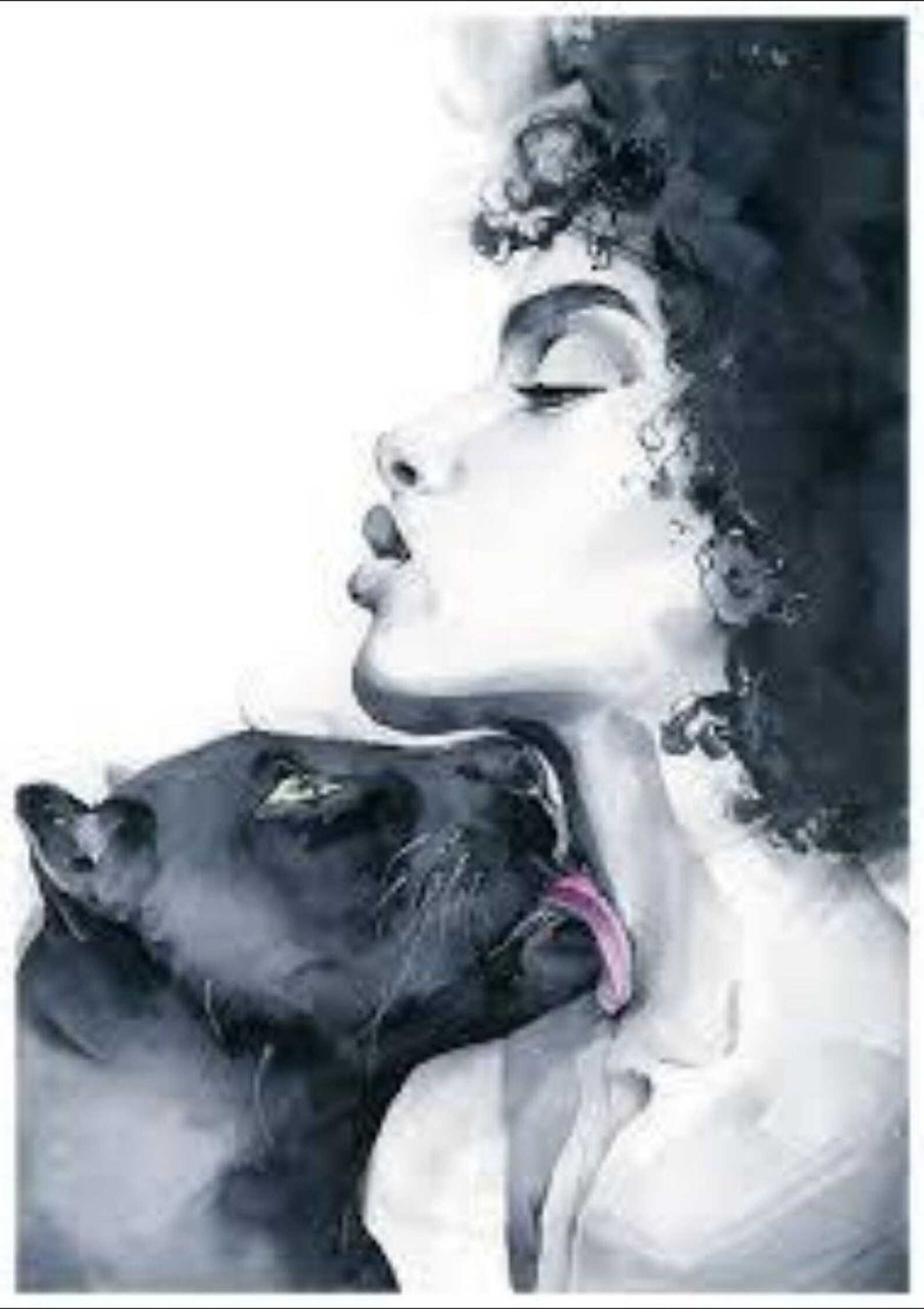 Malen Sie nach Zahl mit FRAME Panther und Frau DiY Malerei