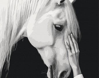 White Horse Paint by Number Kit, Framed Canvas Art, DIY Animal Portrait