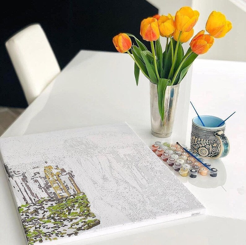 Paint by Number Kit for Adult Winter Bird, Framed Canvas Diy Christmas