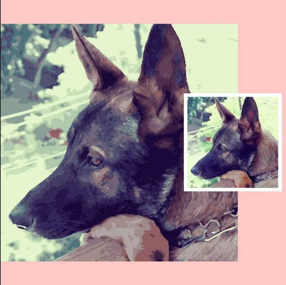 Custom Paint by Number From Photo Personalized Paint by Etsy