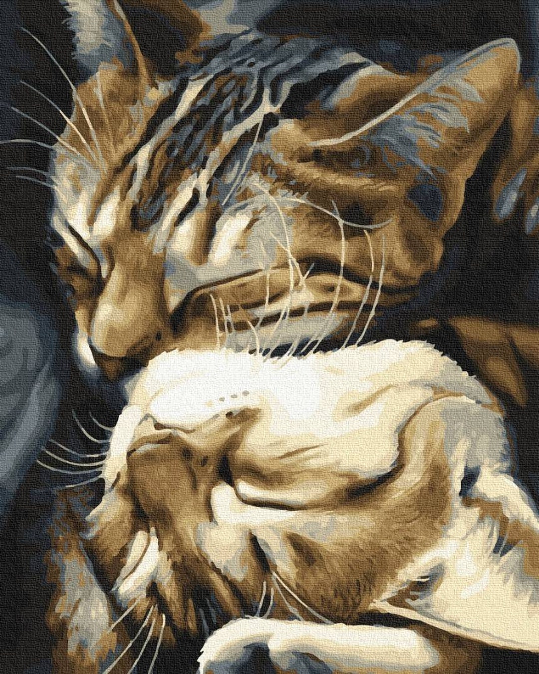 Cat Paint by Number Kit Paint by Numbers Cats Paint Kit for Etsy