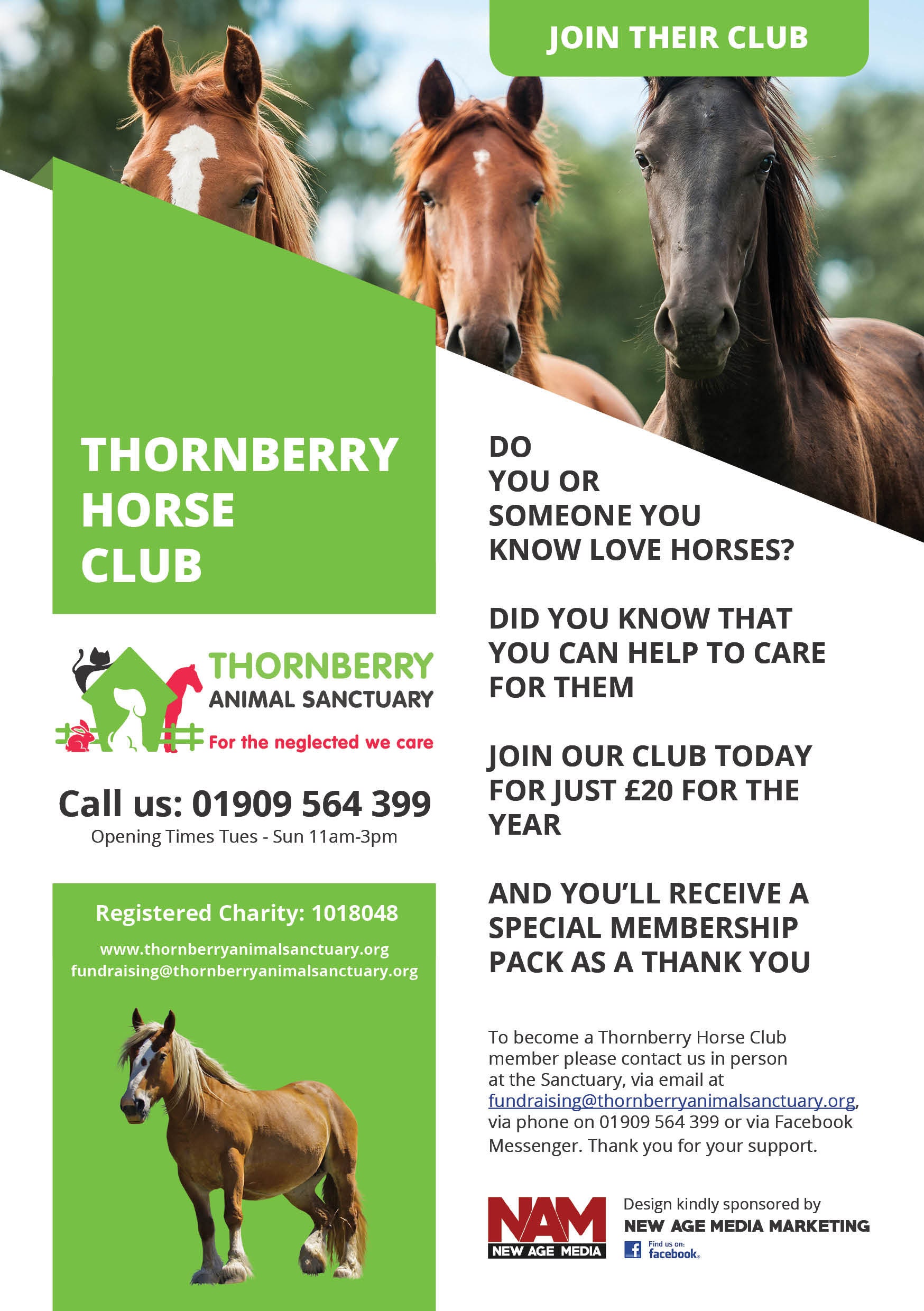 Thornberry Horse Club Membership - Etsy UK Thornberry Horse Club Membership - Etsy UK
