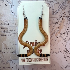 May include: Unique, quirky earrings shaped like tan and brown worms with black and tan striped tips. The earrings hang from silver-colored hooks. The earrings are displayed on a white card with the text "Strangee Madee" and a website address.