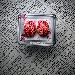 May include: Two small, realistic-looking brain sculptures in a silver container. The brains are a reddish-pink color with detailed ridges, and the container has a few red splatters. The text "Strangeemadee" is visible.