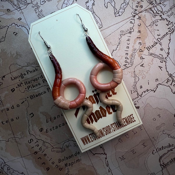 Earthworm earrings | Polymer clay | Made to order